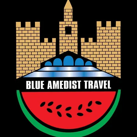 Blue Amedist 酒店 伊斯坦布尔